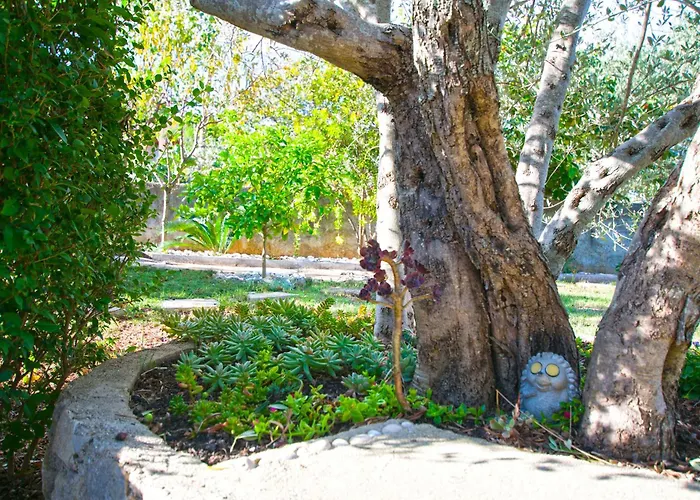 House Pansy Сasa de vacaciones Pašman